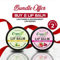 Bundle Deal Offer Lip Balm