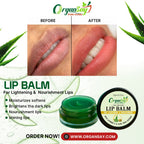 Lip Balm – Vitamin E & Aloe Vera Extract